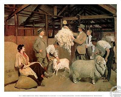 Weighing the fleece