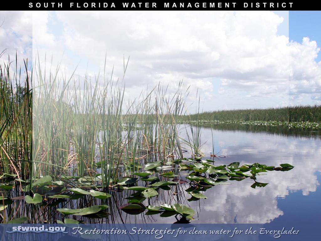 Science Plan in Support of Everglades Restoration Strategies Larry Schwartz Ph.D., P.W.S. Principal Environmental Scientist