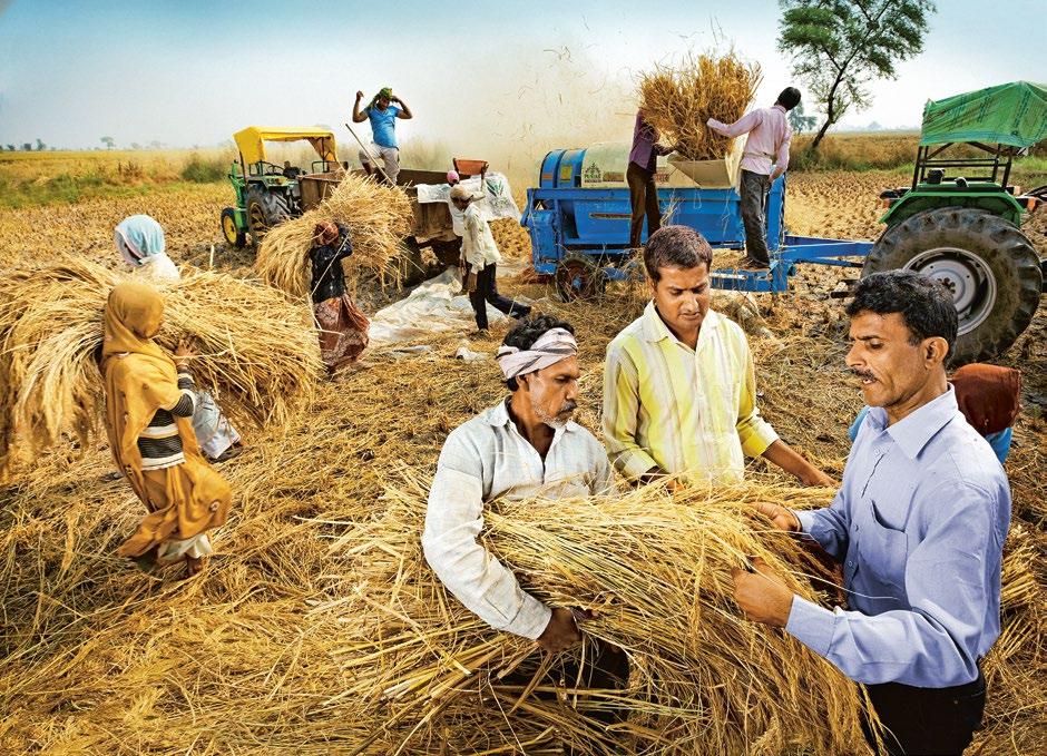 20 Above // Devendra Singh Tomar (right) from basmati exporter LT Foods and farmer Anand Bhandari