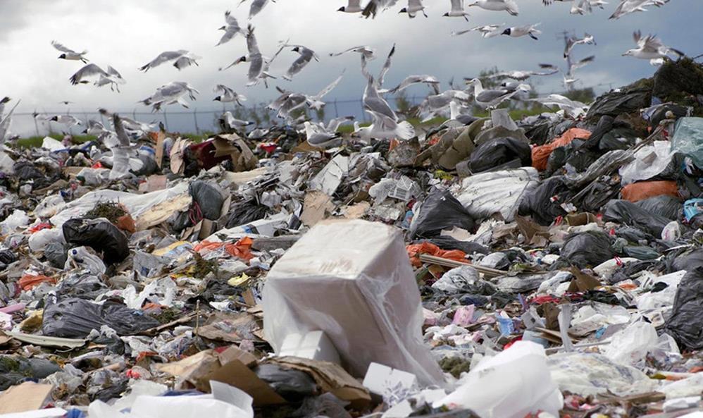 More than 30% of our food is thrown away because