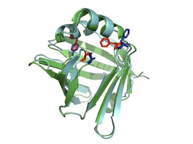 Fatty acid binding protein (FABP) Bakgrund: Fatty acid binding protein (FABP) is a cytosolic protein that transports various fatty acids.
