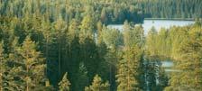 Fine Paper, Stora Enso Packaging Boards and Stora Enso Forest Products Sales EUR 14.