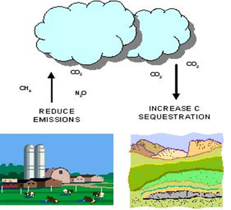 Carbon sequestration to mitigate climate change Carbon sequestration implies transferring atmospheric CO 2 into long-lived pools and storing it securely so it is not immediately re-emitted.