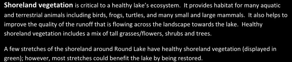 Round Lake Shoreland Vegetation Shoreland vegetation is critical to a healthy lake s ecosystem.