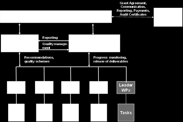 Suggested management structure (1) for the