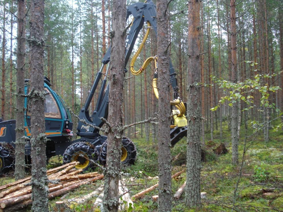 «Technology and Forestry Requirements for the main felling using