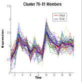 On-line clustering of time-course gene expression