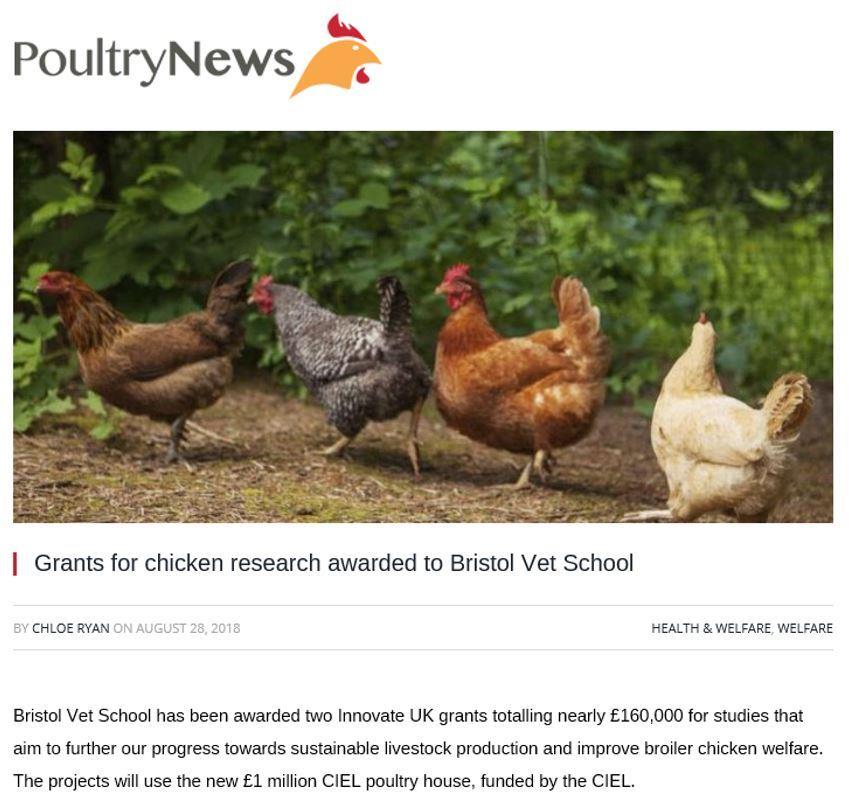 In action: Infrastructure & Innovation University of Bristol poultry research