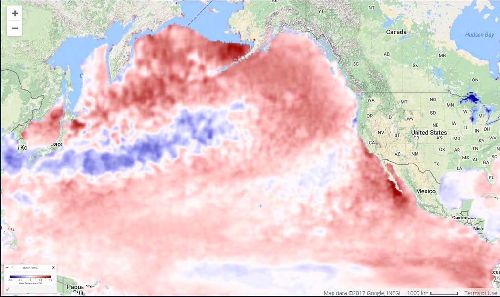 Summer 2014 Warm water held offshore by upwelling in summer 2014 July