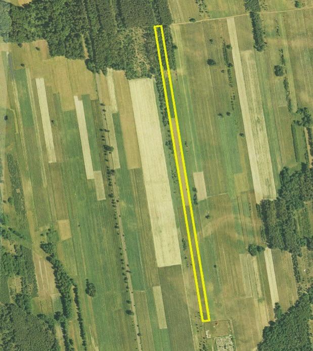 28/1, Kiczki Drugie village Area 1.6967 ha Parcel width 18 m Parcel elongation 1 : 53 1.41 PLN/m2 Fig.