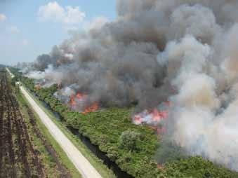 Estimated Smoldering Probability: A New Tool for Predicting Ground Fire in the Organic Soils on the North Carolina Coastal Plain James Reardon and Gary Curcio In the Southeastern United States, fires