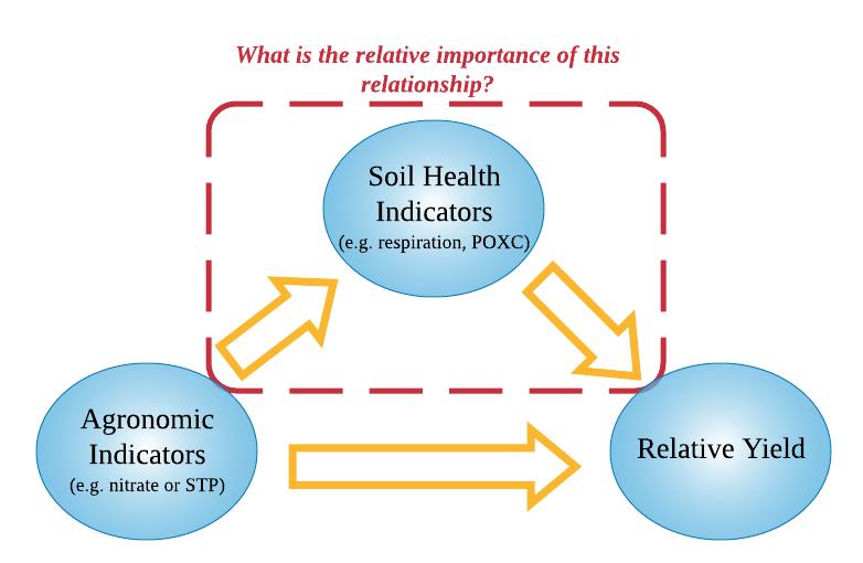 Can Soil Health Indicators