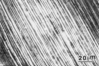 The axis of crystal 18, which was treated differently by cycling in the SEM, was oriented parallel to the c-axis, so a glide was suppressed.