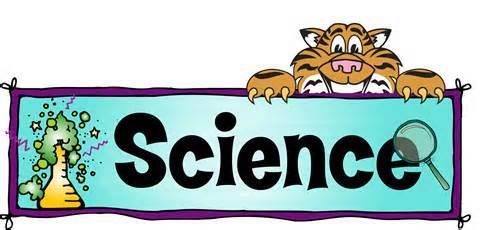 New Haven Elementary 2015-2016 This is the condensed version of our journey in Science and Engineering throughout the year.