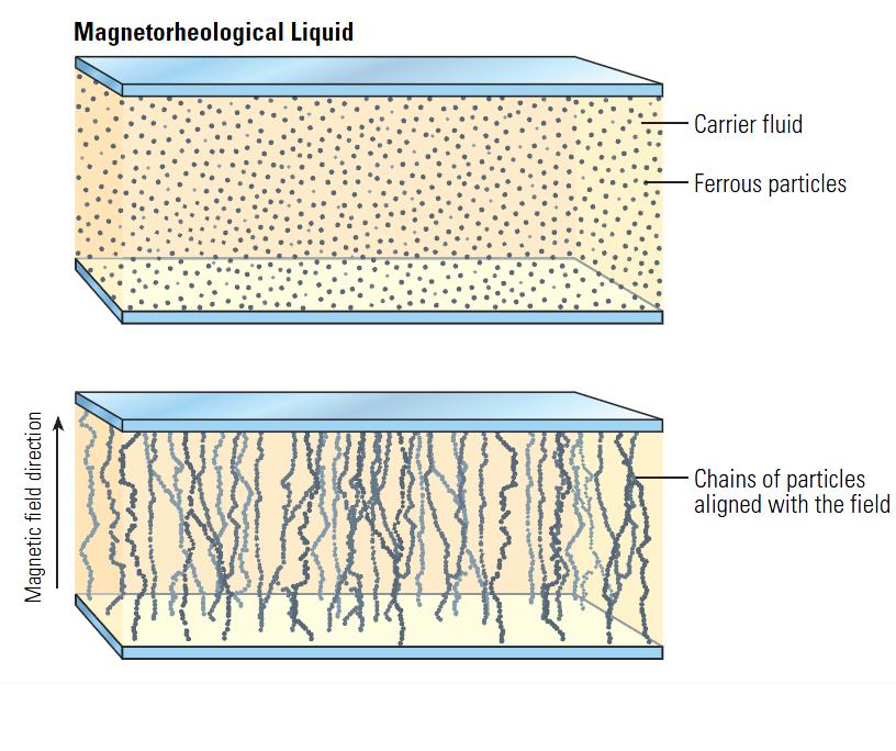 pole to the other and perpendicular to each paramagnetic pole surface.[] (such as water atomization) have also been considered and used in MR-fluid formulations.