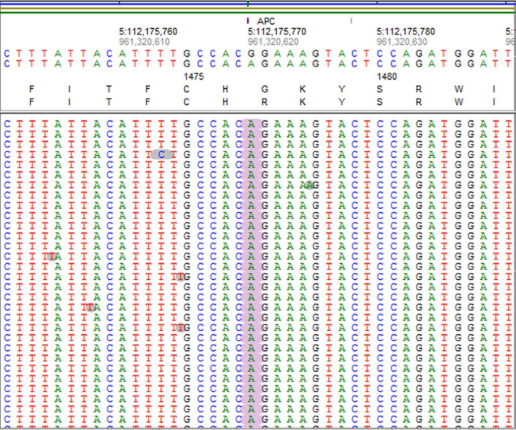A multiple-base deletion is counted as multiple deletions when totaling the number of Indels. Figures 3, 4, and 5 show examples of a mutation found in each project.
