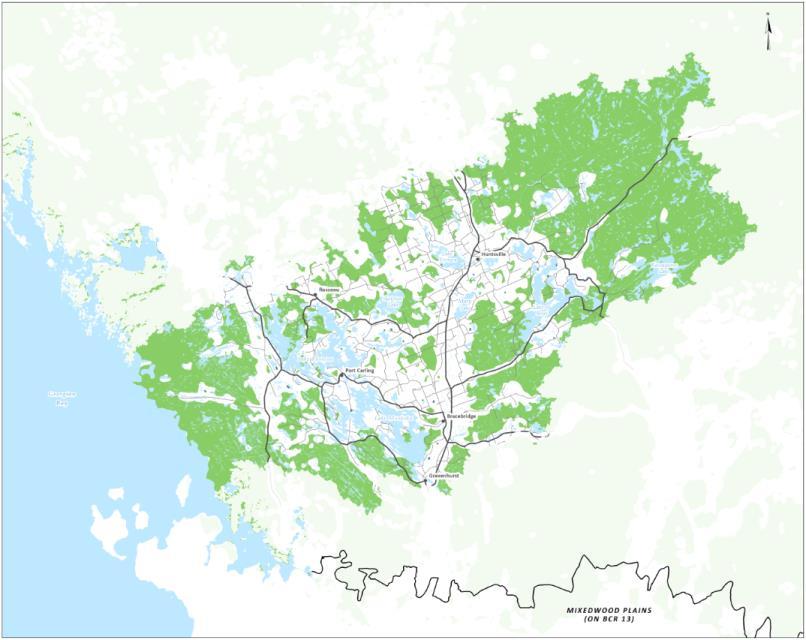Ecozone 50% Habitat Mosaic: Muskoka