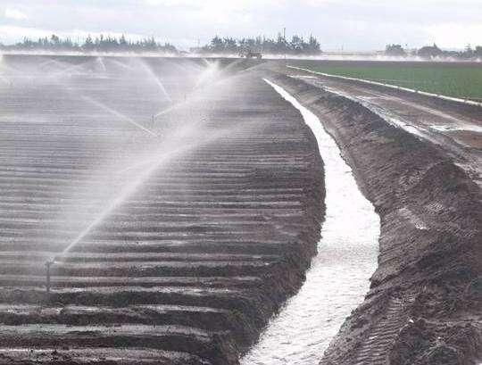 Controlling irrigation