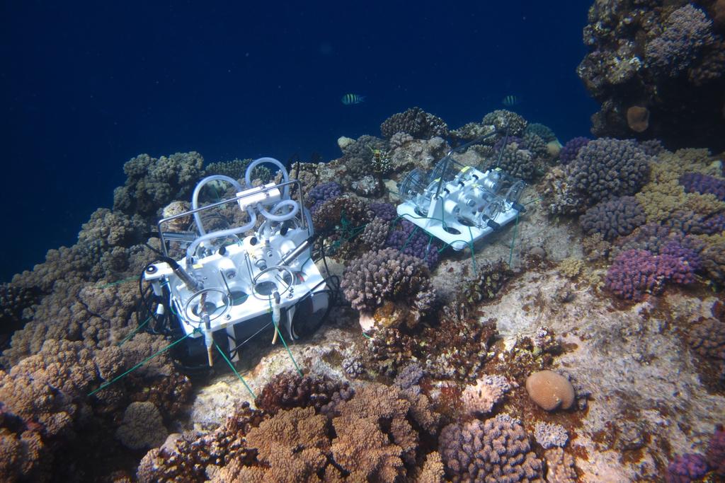 1st generation autonomous in situ incubation chambers Red Sea