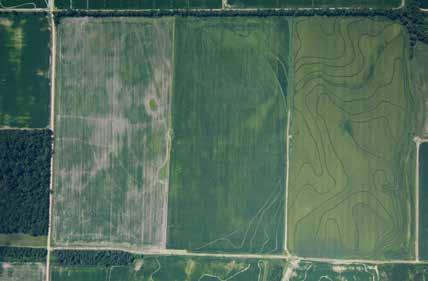 Photos from left: Flooded corners of a pivot irrigated rice field; soybeans planted in the corners; nothing planted in the corners Myth # 2 You will lose the corners of the field.