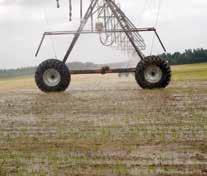 Soil moisture can be managed with a center pivot or linear, allowing the majority of post- emergence herbicides to be applied by a ground rig instead of aerial application.