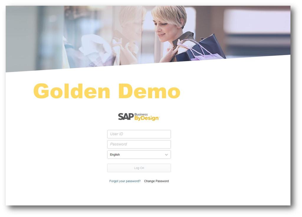 Complementary Demo Guide SAP