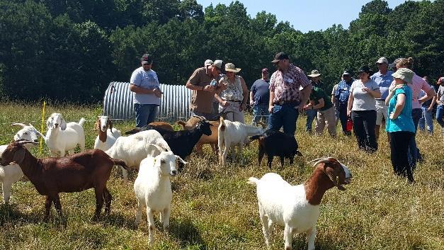 Selecting Enterprises for Pasture-based Livestock Farms August 2018 By: Johnny Rogers Introduction: Pasture-based livestock farming can fulfill many objectives from having a great lifestyle to