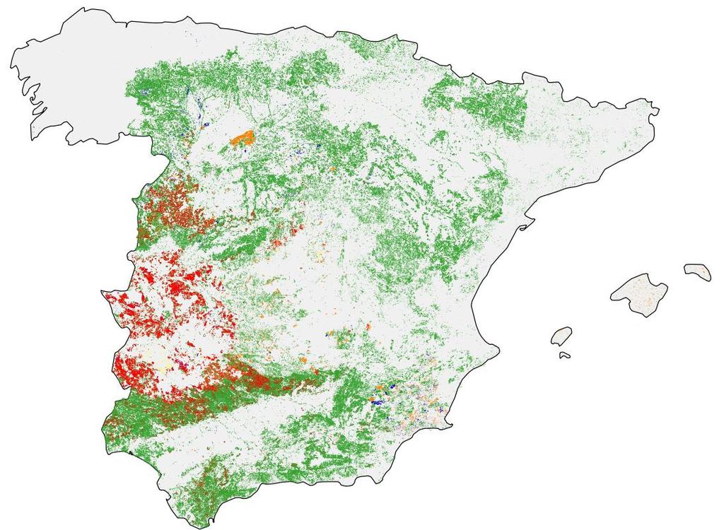 53 Figure 24. Distribution of the agroforestry systems in Spain estimated at plot level, and including only stands with 10-60% tree cover. Canary Islands in the box.