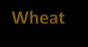 Biorefinery of wheat: Objective =