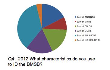 4. Based on the previous question with the photos of insects, How do you know which ones were the BMSB? A.
