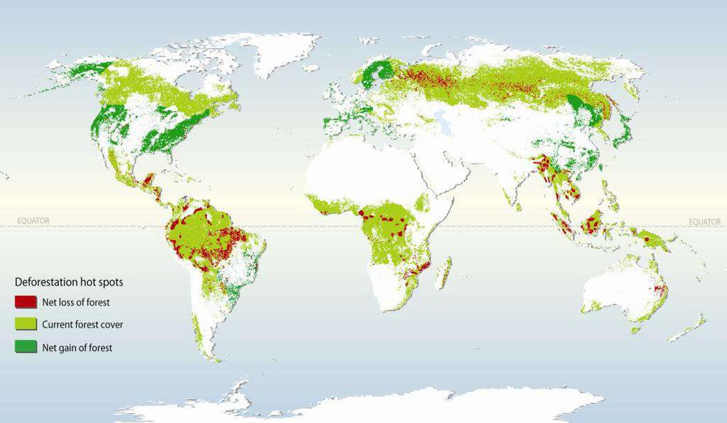 Global forest cover &
