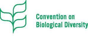 UN-CBD Biodiversity reporting National reports inform on the measures undertaken and the success in implementation of commitments under the convention 2003, COP 6 Decision VI/22, paragraph 19 f