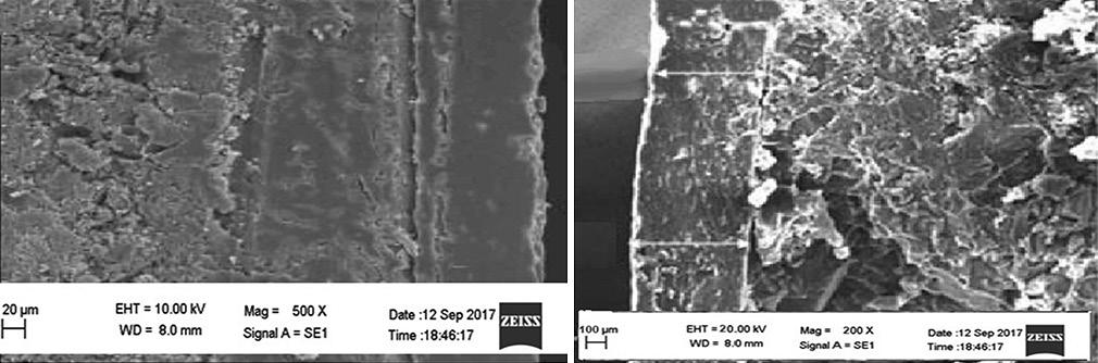 Figure 6: Percentage call detail record versus time graphs for all press-coated tablet formulations with L-hydroxy propyl cellulose a Figure 7: (a and b) Scanning electron microscopy of the selected