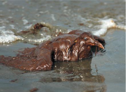 Deepwater Horizon Oil Spill April 22, 2010 - Deepwater Horizon, a drilling