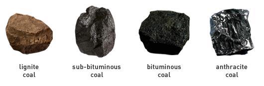 Coal Coal Occurs in different