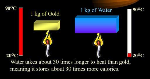 Properties of Water High Heat Capacity takes a lot of energy