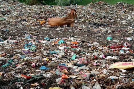 clear in industrialized countries during 1960s and 1970s as consumption patterns led to sizeable growth of waste flows, whose disposal went beyond the limits of social acceptability and the