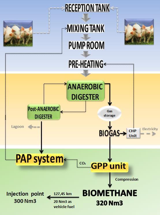 System boundaries Pretreatment of the manure Transport of the manure to the biogas production plant.