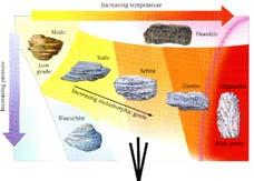 layering of sediments due to the action of wind or water Example: sandstone Metamorphic (Greek -
