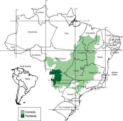 Agriculture and Rural Development in Brazil Tropical Forest Semi-Arid Achieve Food Security Manage complex