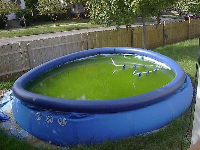 Pools that contain more than 24 inches of water must be completely surrounded