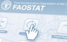 FAO actions so far FAO traditionally very active in statistical capacity development (WCA, Global Strategy, AMIS, CountrySTAT, ) Particularly active in the area of food security statistics, To