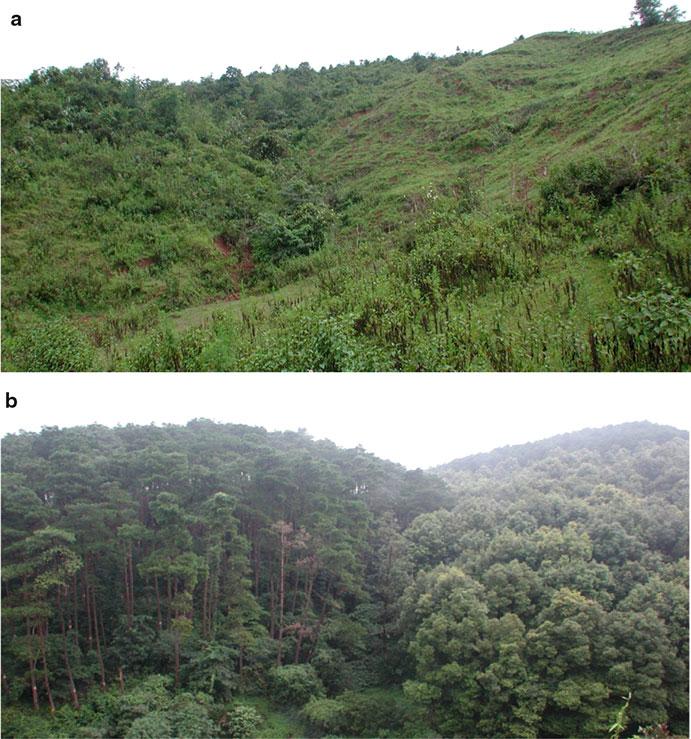 4 Forest Landscape Restoration in China 69 Fig. 4.