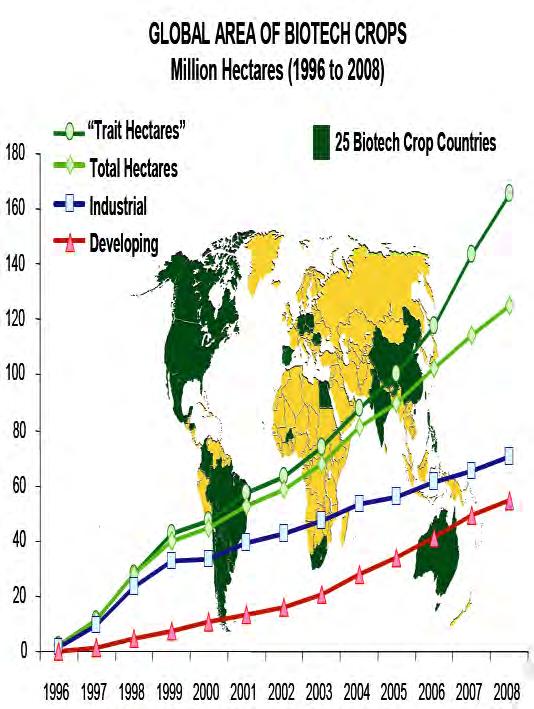 Biotech crops are major drivers of production increases I S A A A International