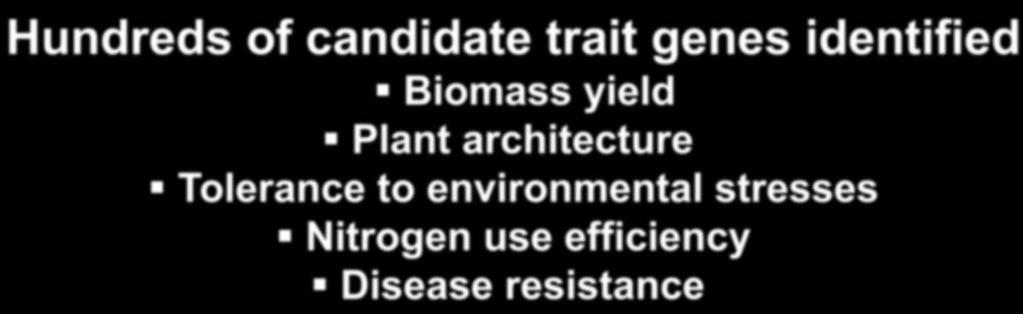 Plant Gene-Trait