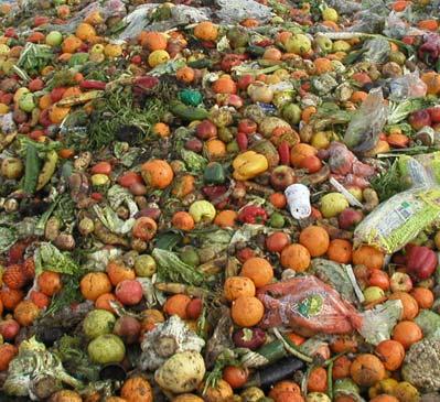 Sysav Biotec AB Biological Treatment Treatment of food waste from: Households
