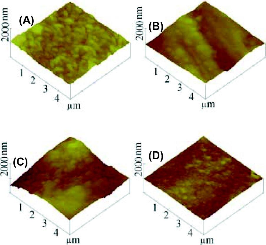 522 C.-C. Yang et al. Magnetic Films of Cobalt/Aluminum Electrodeposited Fig. 6. Atomic force micrographs of the Co-Al alloys electrodeposited on a Cu plate in the ternary molten salts at 40 C.