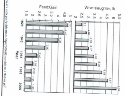 Role animal breeding Animal breeding -0,02 kg/kg per year Broilers Faster growth Twice as big at slaughter, yet requires less feed Dairy cattle breeding indirect selection Quicker to same weight,