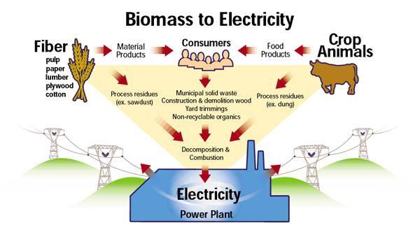 Liquid Biomass: Also known as biofuel, is any kind liquid produced from solid matter that is still growing or has been alive at some point which can be processed to produce a type of fuel.