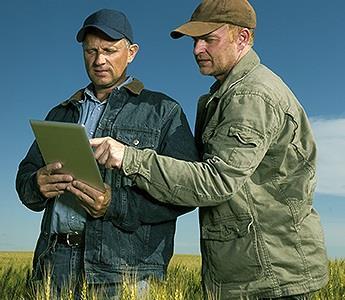 Reporting on NASS Surveys is Important to Administer Farm Programs and Crop Insurance High quality statistical information is essential for the smooth operation of federal farm programs and crop